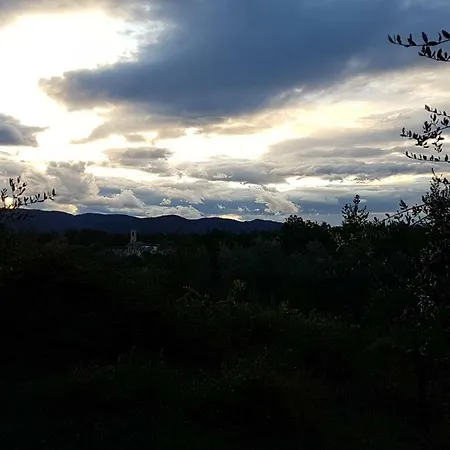 Le Massucce San Casciano in Val di Pesa Esterno foto