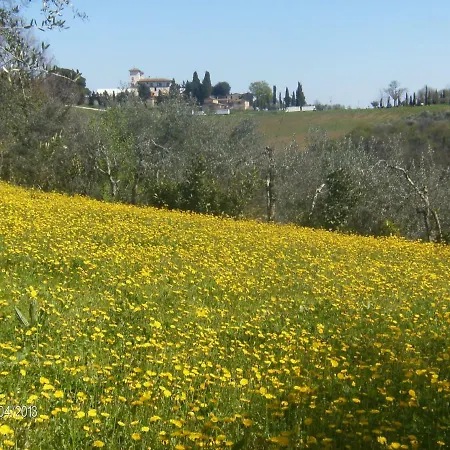 Le Massucce San Casciano in Val di Pesa Esterno foto