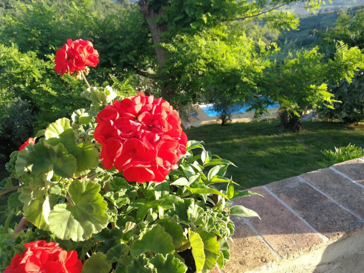 Holiday home Le Massucce