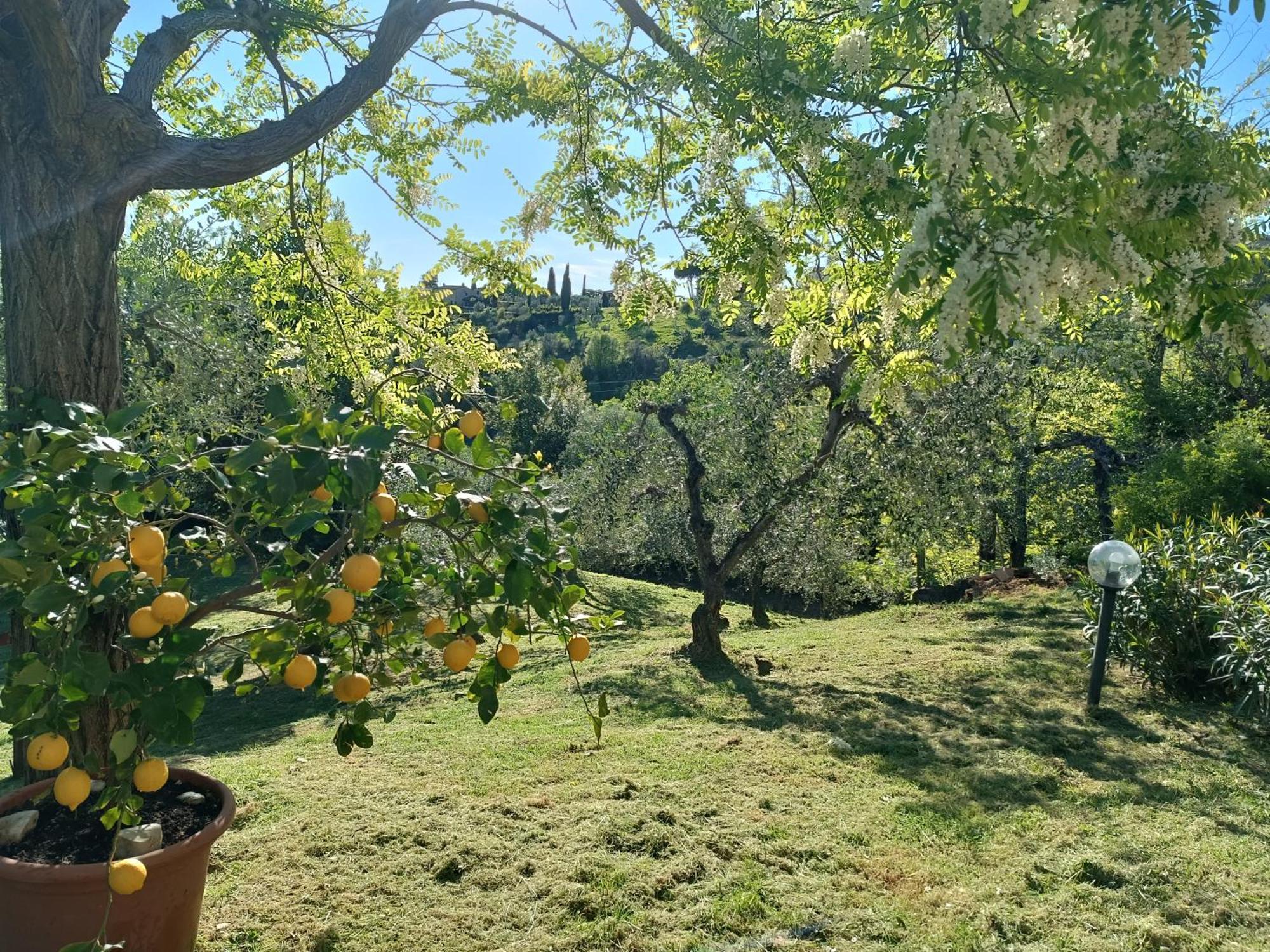 Le Massucce Holiday home San Casciano in Val di Pesa