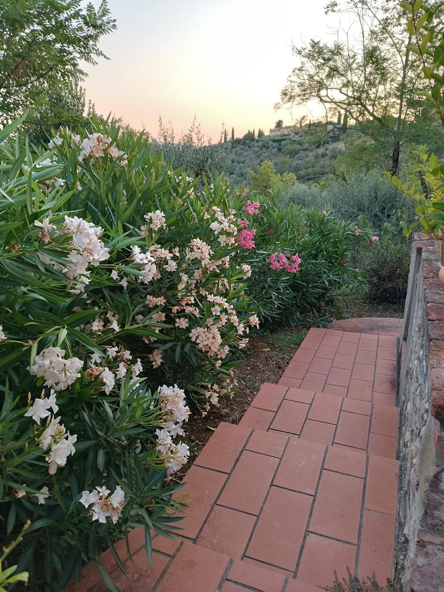 Holiday home Le Massucce San Casciano in Val di Pesa