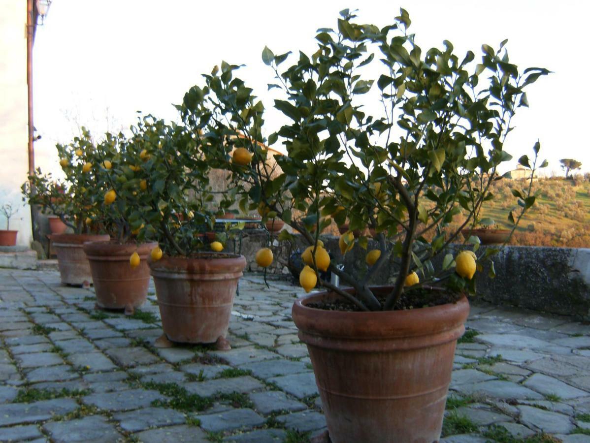 Le Massucce Holiday home San Casciano in Val di Pesa