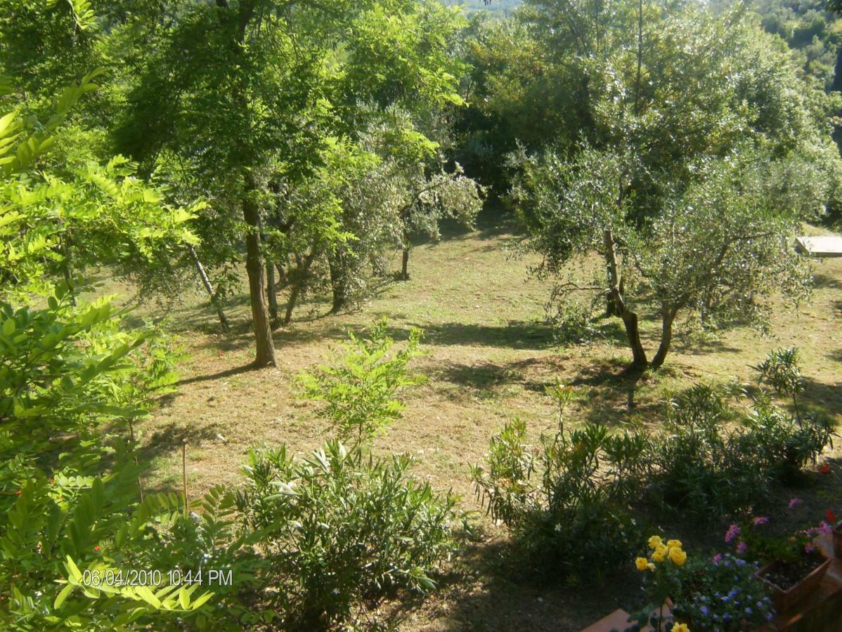 Le Massucce San Casciano in Val di Pesa