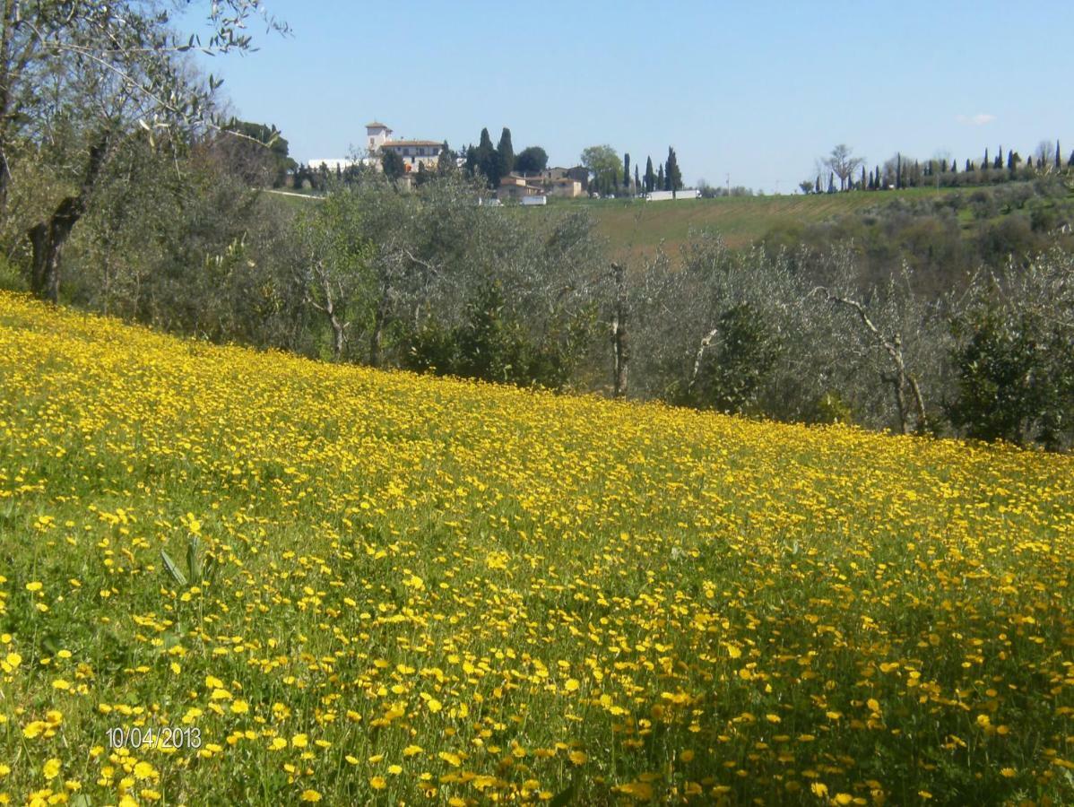 Le Massucce San Casciano in Val di Pesa