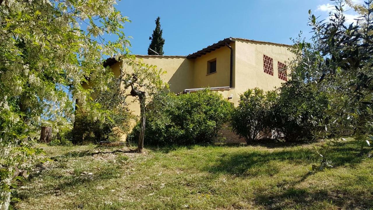 Le Massucce San Casciano in Val di Pesa