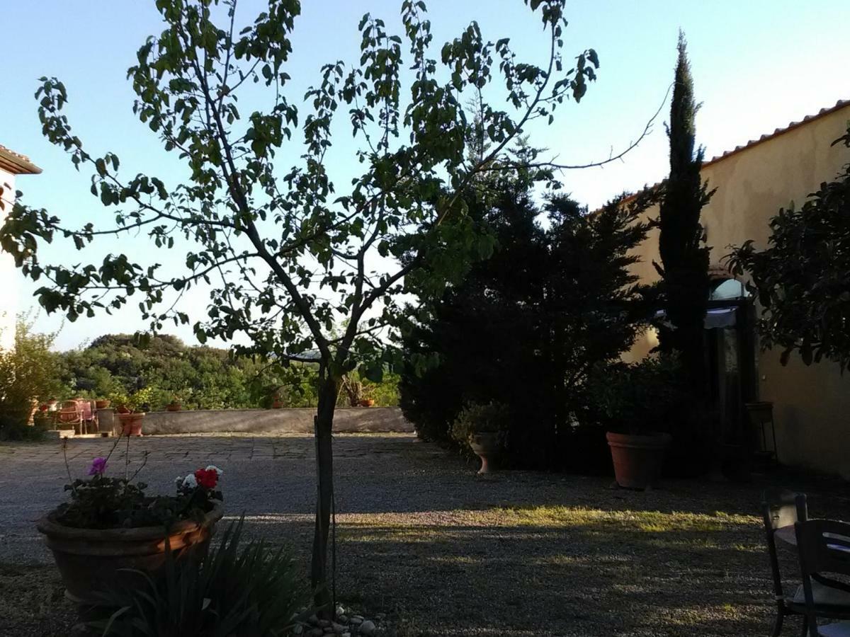 Le Massucce