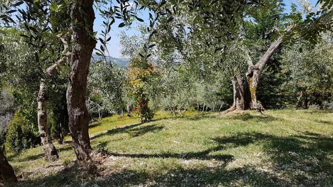 Holiday home Le Massucce *