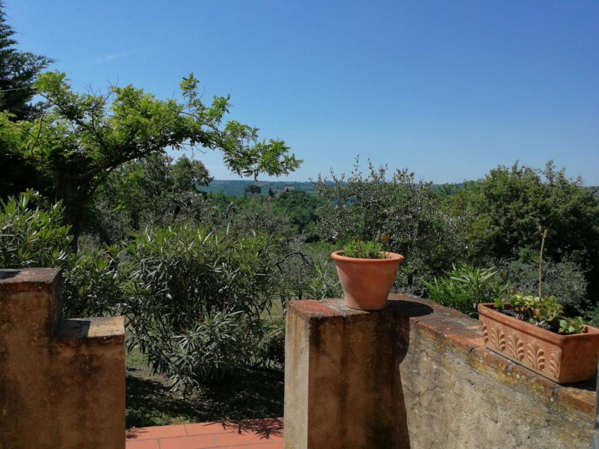 Le Massucce San Casciano in Val di Pesa
